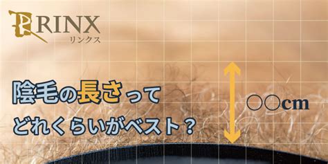 超長陰毛|陰毛の長さの理想や整え方を男性向けに解説 